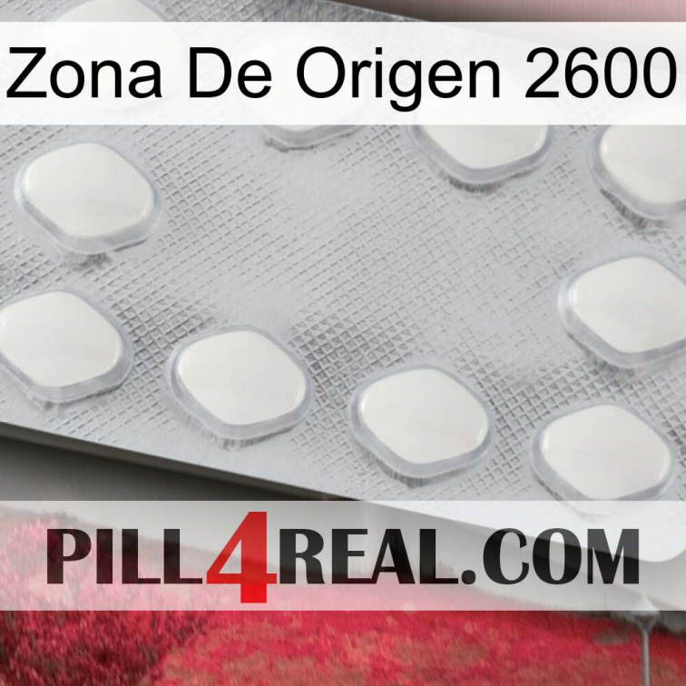 Home Zone 2600 16